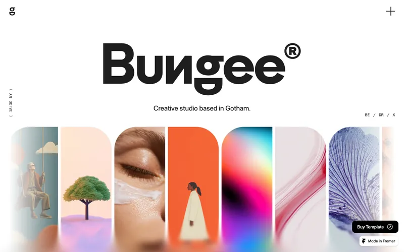 bungee şablonunun önizləmə görüntüsü