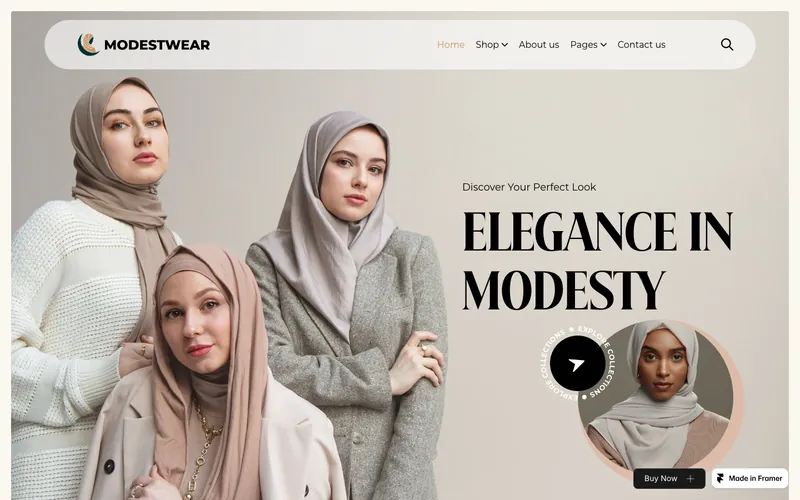 modestwear şablonunun önizləmə görüntüsü